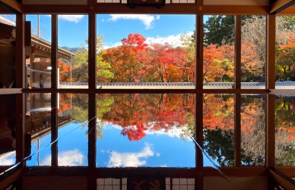 ★11/14 催行決定★【横浜発】 宝徳寺床もみじ&ひもかわうどん・芋スイーツ 秋彩る宝徳寺『床もみじ』特別公開と『みやじま庵』の桐生名物ひもかわうどん&『いも家』絶品さつまいもスイーツを堪能の秋旅♪1